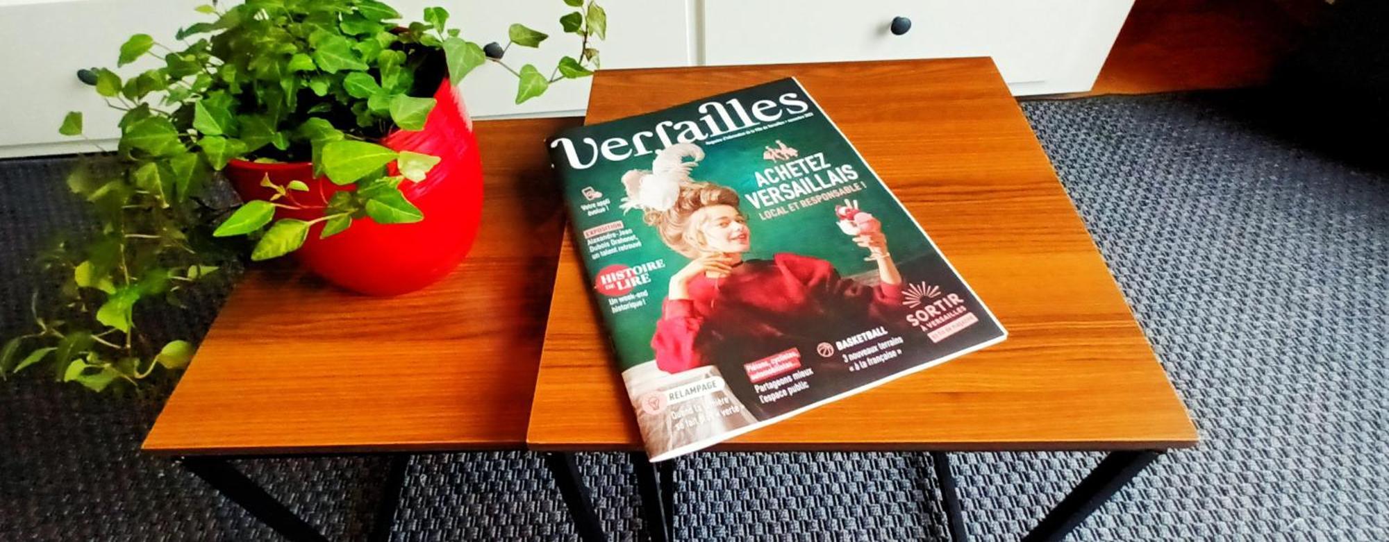 Appart A Versailles, 2 A 4 Pers, Avec Parking Versalhes Exterior foto